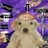 poly_puppy's profile image