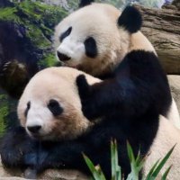 oneco (@onecou) 's Twitter Profile Photo