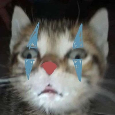 lulum5690's profile picture. vivendo e se fudendo