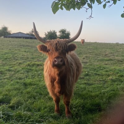 Jeremypinn84874's profile picture. Si une idée est vraie, elle appartient également à tous ceux qui sont capables de la comprendre RG