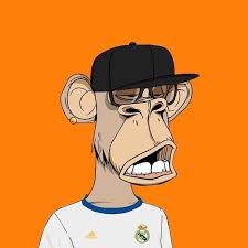 AlkadtheMadrid's profile picture. HALA MADRID
