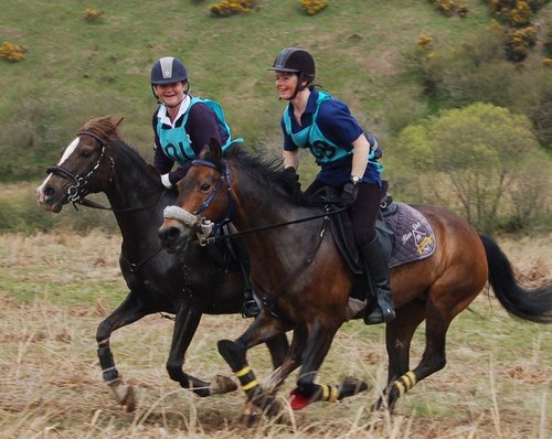 The UK's best endurance ride takes place on Exmoor from the 15th-17th May 2012. Come along for the ride, you won't regret it!