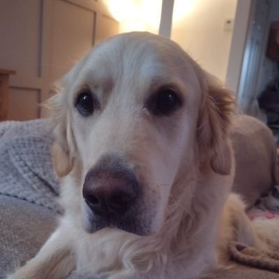 Hornby93's profile picture. #BWFC