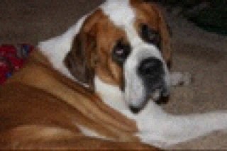 WenPopp's profile picture. 