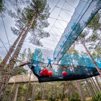 Landmark Forest Adventure Park (@landmarkparkuk) 's Twitter Profile Photo Landmark Forest Adventure Park (@landmarkparkuk) 's Twitter Profile Photo