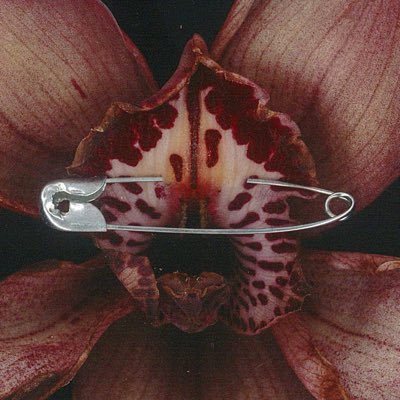 han1783232495's profile picture. 绳师｜摄影师｜互勉约拍｜OO-com123