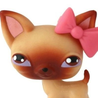 hami_hamham's profile picture. i collect littlest pet shops and other vintage toys ♡^-^♡

 ``always listening to music``