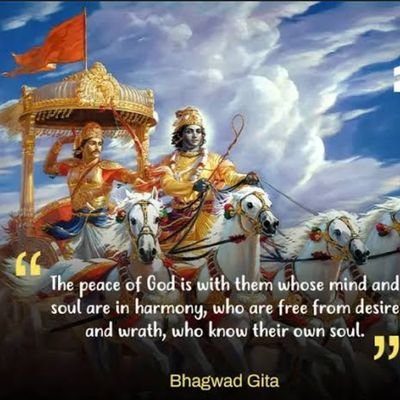 Bhardwaj1186782's profile picture. 