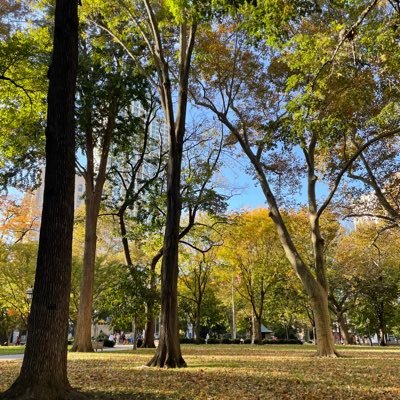 hellooctober574's profile picture. 