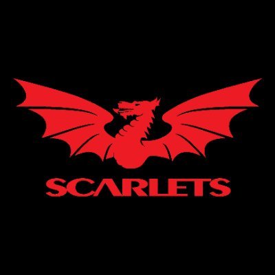 Providing a daily dose of Scarlets Rugby