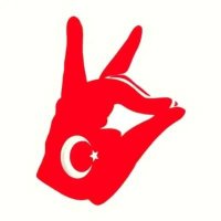 Akiko1907 (@avsaroglu_1907) 's Twitter Profile