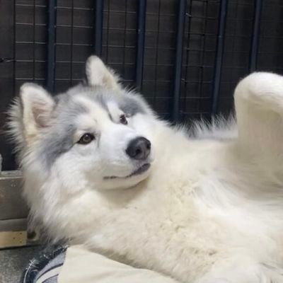 裏アカ男子　童貞もらってください🙇‍♂️　　　舐めるの頑張ります！