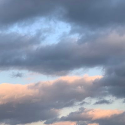 angxoo_twitch's profile picture. 