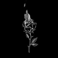 Brix (@shadow_aka_brix) 's Twitter Profile