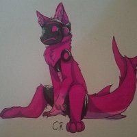 TheAnimePybro🔞 (@pybro_the) 's Twitter Profile