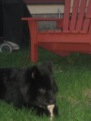 CubbyChowmane's profile picture. Bones, biting, bitches.