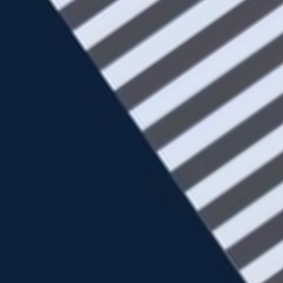 trhk03919956's profile picture. 