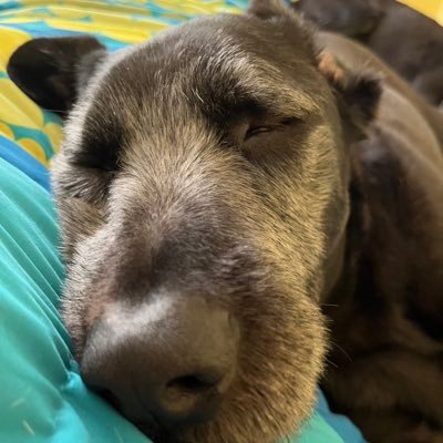 74glw's profile picture. off