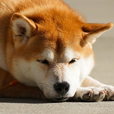 使っていたアカウントが仕事専用になったので別アカ作成しました。
心地よい道具が好き。keyball/XT-30/D7500/Rotring600/149/NobleNote/CAAD13。社長兼会社員でPB商品開発してます。inuはAIっぽいけどウチの子です。