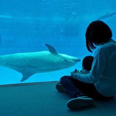 MikaMorly74589's profile picture. 趣味で作ったものを販売してます。
ミシン、裁縫、3Dプリンタ、電子工作