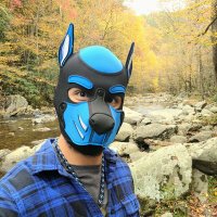 Pup Skysoar (@pupskysoar) 's Twitter Profile