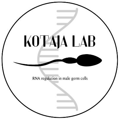 Kotaja Lab Profile