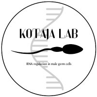 Kotaja Lab (@kotajalab) 's Twitter Profile Photo Kotaja Lab (@kotajalab) 's Twitter Profile Photo