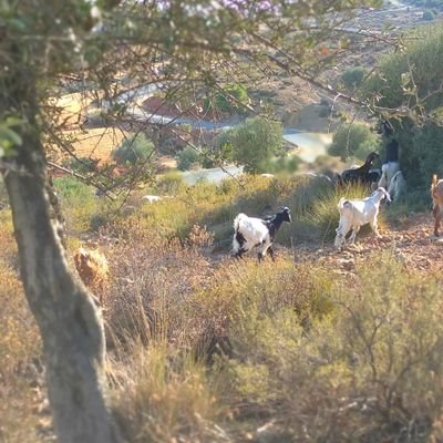 tnps88's profile picture. Bottom