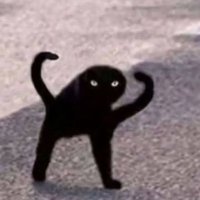 reunited journey (@ahmadas56906930) 's Twitter Profile