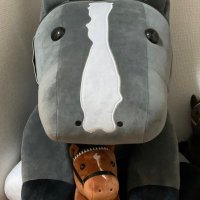 ふじ (@mounting_mtfuji) 's Twitter Profile