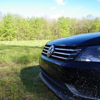 DontNoticePls's profile picture. Just a father trying to keep the West/USA from becoming a third world hellhole.