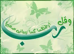 bader7bader7's profile picture. 