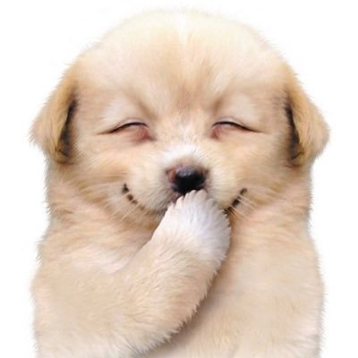 j_movi_e97's profile picture. 배우위주로 많이좋아함ㅎ