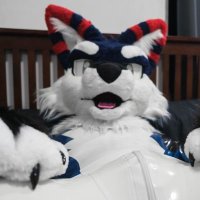 Minit 🔜 ??? (@notminitwolf) 's Twitter Profile