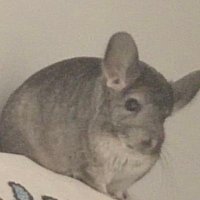 wind12 (@windcloudless) 's Twitter Profile