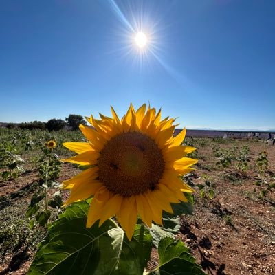 33memories_'s profile picture. 