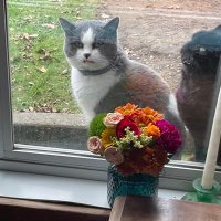 Terry1357 (@terry1357214707) 's Twitter Profile Photo Terry1357 (@terry1357214707) 's Twitter Profile Photo