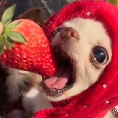 lostwordsbyal's profile picture. ola cotilla