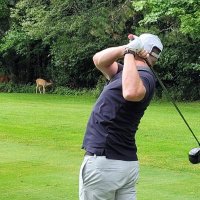 CrimeDog Trades (@pennytrader82) 's Twitter Profile