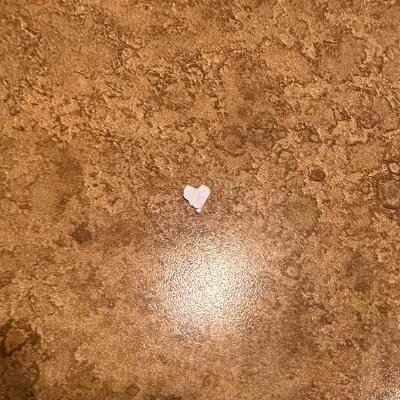 coopsmyboy's profile picture. Truth seeker...waking up through the work of @DrJoeDispenza