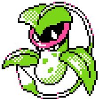 Victreebel (@victreebelpkmn) 's Twitter Profile Photo Victreebel (@victreebelpkmn) 's Twitter Profile Photo