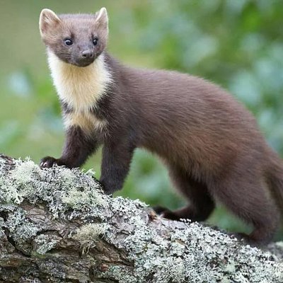 milliebevans's profile picture. 