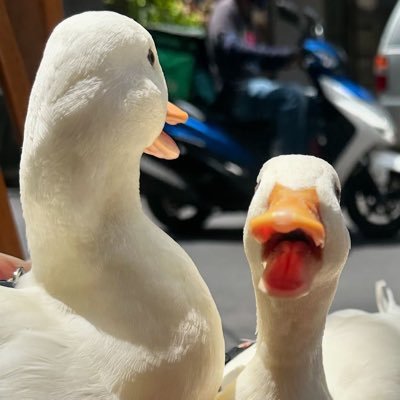 fancyJ_M's profile picture. 