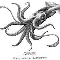 anOldSquid (@anoldsquid58) 's Twitter Profile