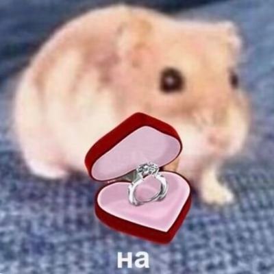😼さんのプロフィール画像