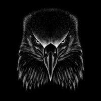 bado1903 🦅 (@bhdrgrpnr1903) 's Twitter Profile