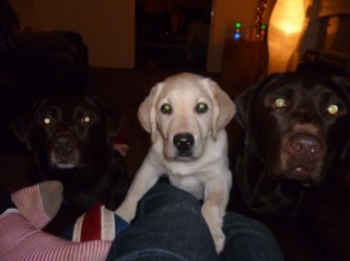 leer1234's profile picture. 