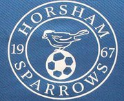 Official Twitter account of Horsham's FA Charter Standard Community football club. Teams for men and women from Under 7s to Adult #ComeOnSparrows