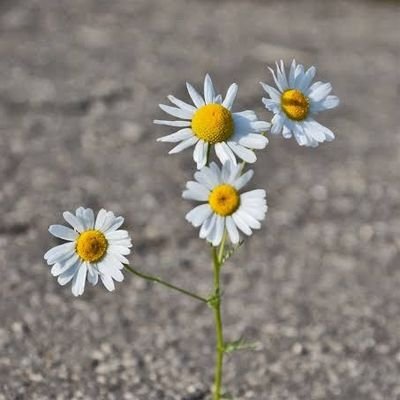 JAdeoti06's profile picture. Health. Music. Movie. Football.
#hmmf