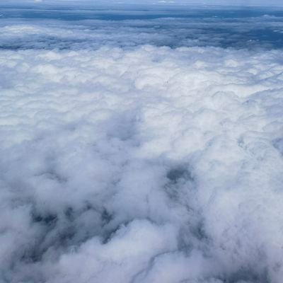 dao_ran72386's profile picture. 